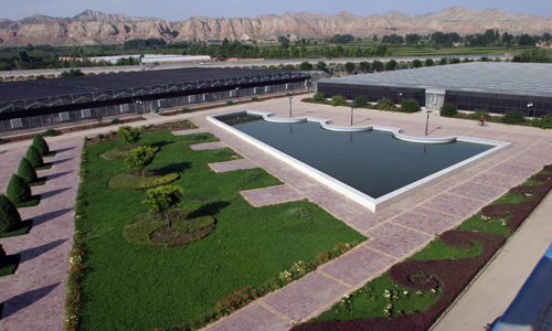 �t�Ÿ�ԭ�Ĳ˷N�緱������