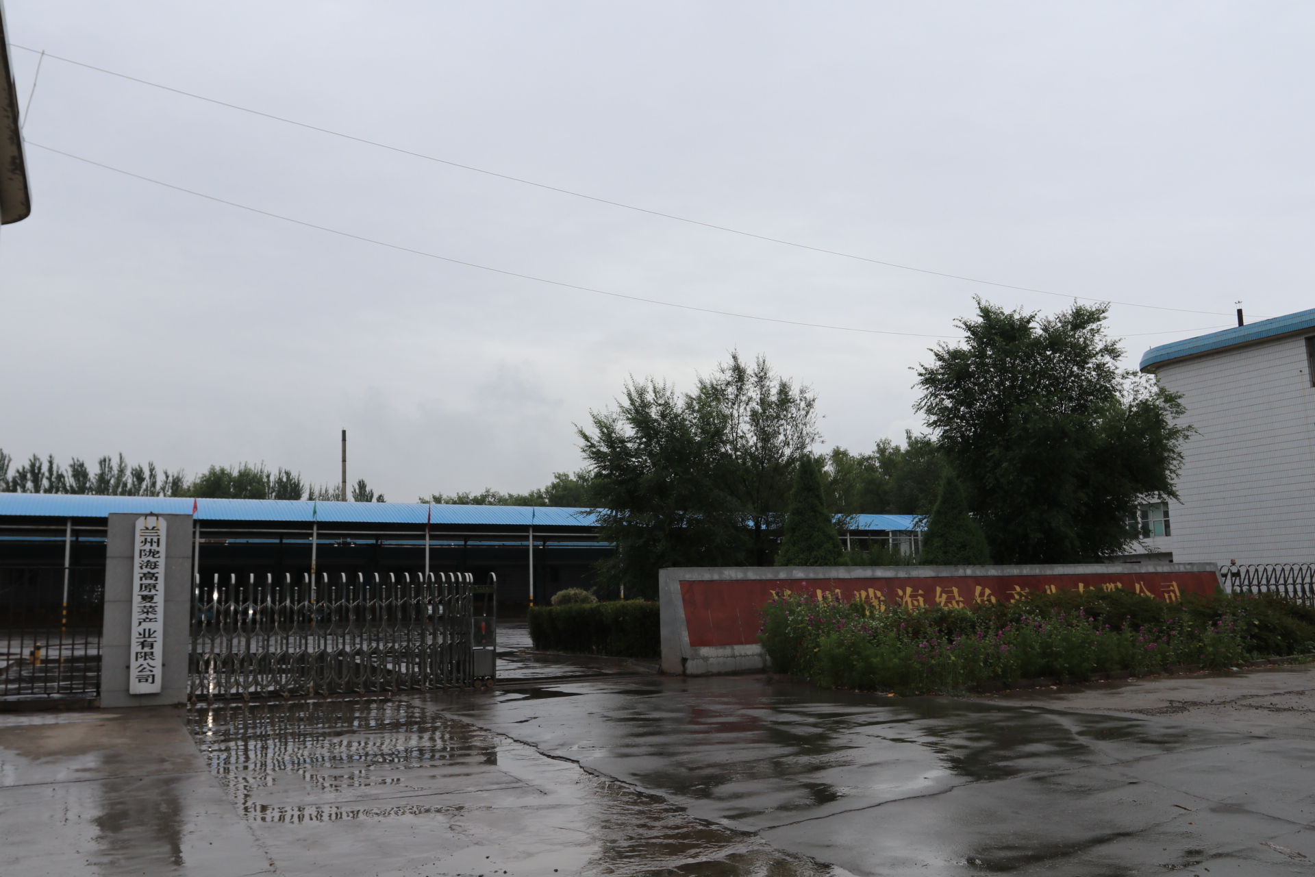 �t���߲˱��r��